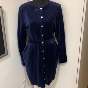 & Other Stories faux blue velvet button down dress! Like new! US10 $45